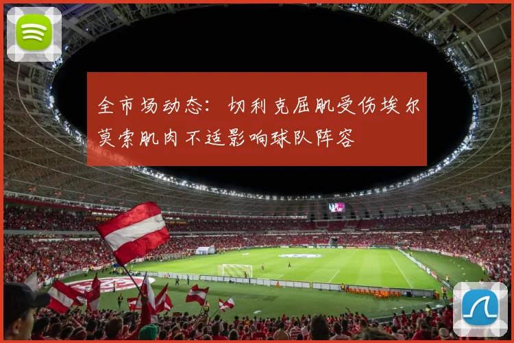 全市场动态：切利克屈肌受伤埃尔莫索肌肉不适影响球队阵容